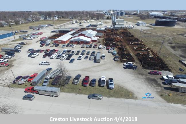 Creston Livestock Auction